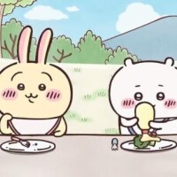 やっぱり