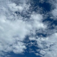 急な、雨に(泣)