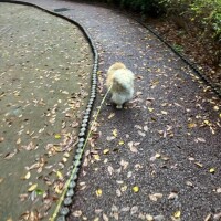 おはようございます