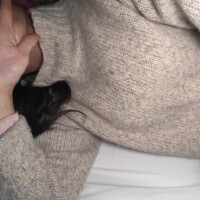 お疲れ様です