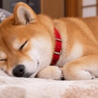 また12時に