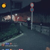 推しうさぎ