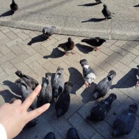 竹内【たけうち】