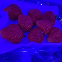 朝倉【あさくら】