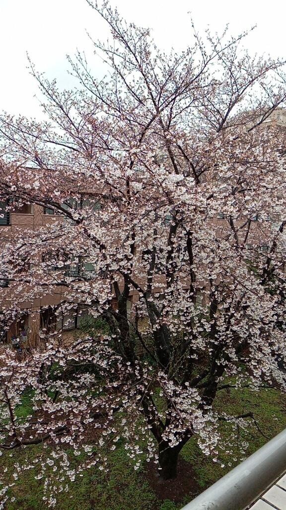 やっと行けた～