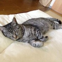 おはようございます(*^^*)