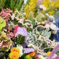 これから日が延びるから
