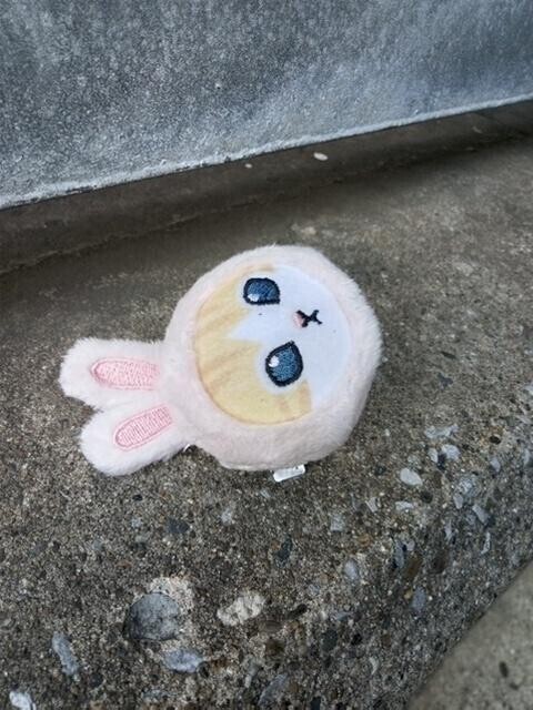 きゃー??
