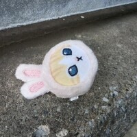 きゃー??