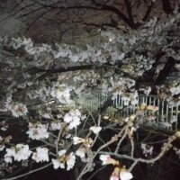 おはようございます?