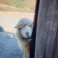 そうだグルメの時間☆