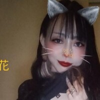 新しいコレクション