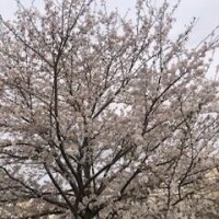 シャワー後??