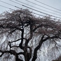 おはようございます