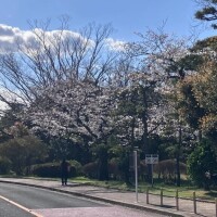 こんにちは(*^^*)