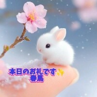 本日のお礼です?