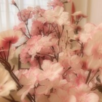 咲いてるね?