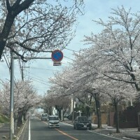 早く貴方の松茸食べたいよ
