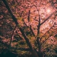 何回もすみません?