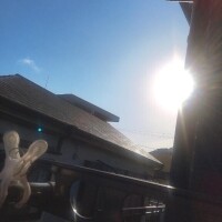 おはようございます?????
