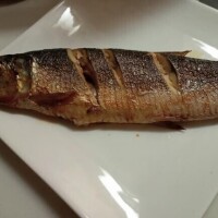 無償に焼き魚食べたくなった??