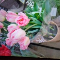 昨日のお礼日記