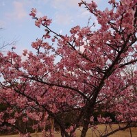 知らないのは、私だけ？