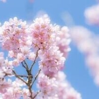 おはよぉ??