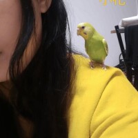 今日の