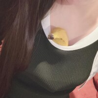 [お題]from:馬娘さん