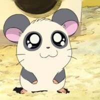 篠宮【しのみや】