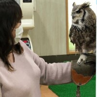 マイガール登録??