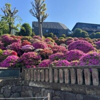 八木【やぎ】