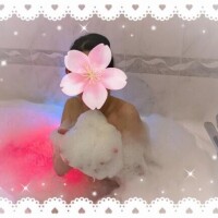 お知らせです