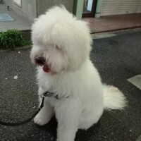 池添【いけぞえ】