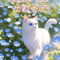 瞳【ひとみ】