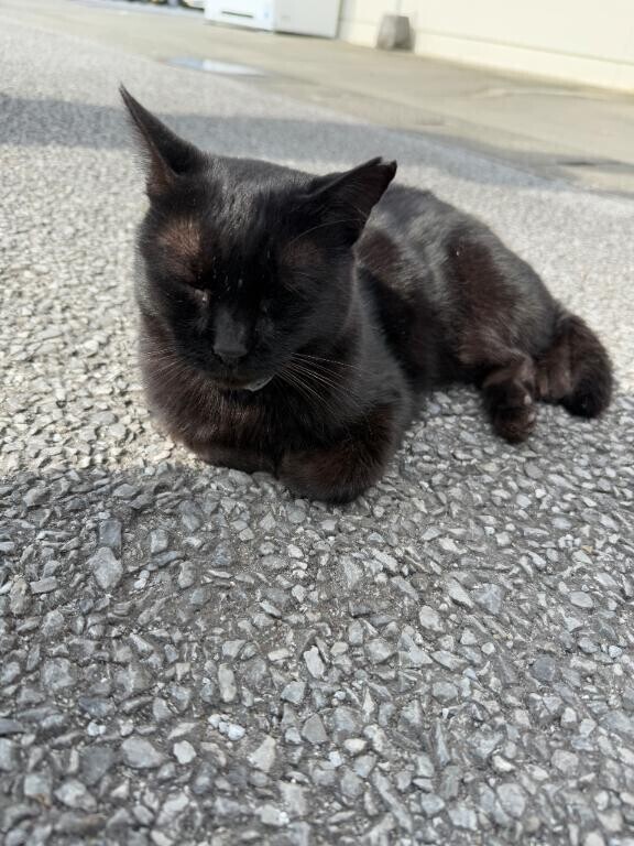 やほやほ(*?´?`?)
