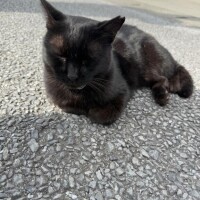 やほやほ(*?´?`?)