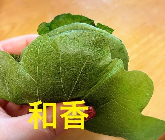 お久しぶりの柏餅?
