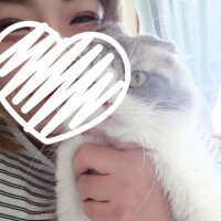 出勤日のお知らせ?