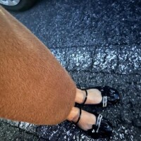 先程はありがとうございました