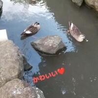 逢いたいなぁ