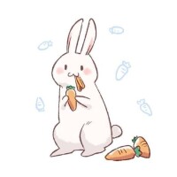 【アニマル診断】今日の運勢ランキング