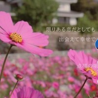 覚えてたらみたよしてね。。。