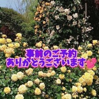 事前のご予約ありがとう御座います