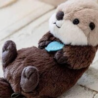 1週間の始まり