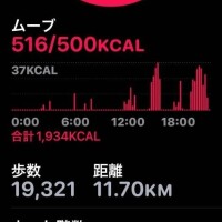 おはようございます