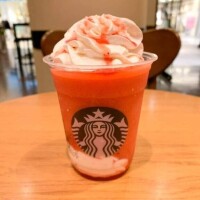 最近ハマってるのは…?