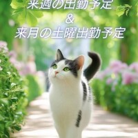 来週の出勤予定だょ?(???*)?