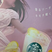 出勤しました(*^^*)